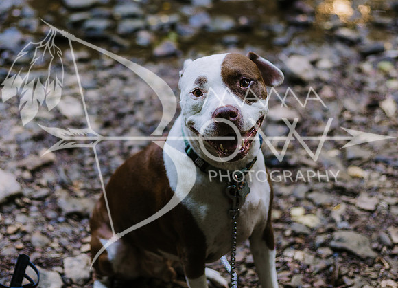 kara staci ccbw ws-65
