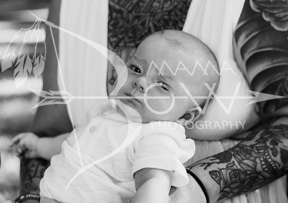kara staci ccbw ws-31