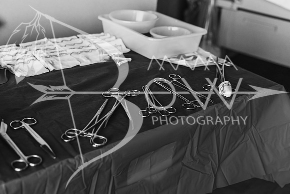 Cooper live birth ws-20