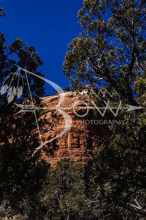 Arizona Trip ccb-50