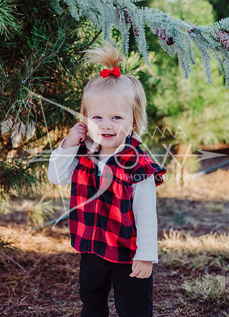 Arniella christmas ws-2