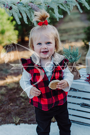 Arniella christmas ws-6