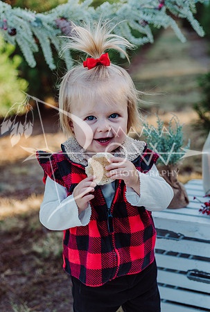 Arniella christmas ws-7
