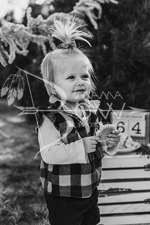 Arniella christmas ws-8