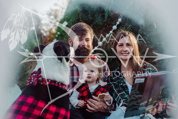 Arniella christmas ws-9