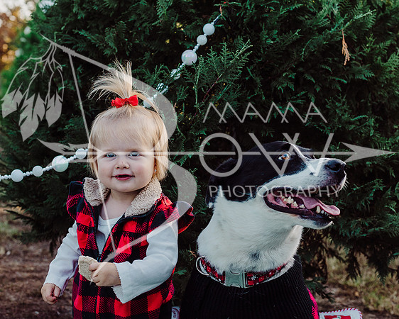 Arniella christmas ws-12