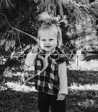 Arniella christmas ws
