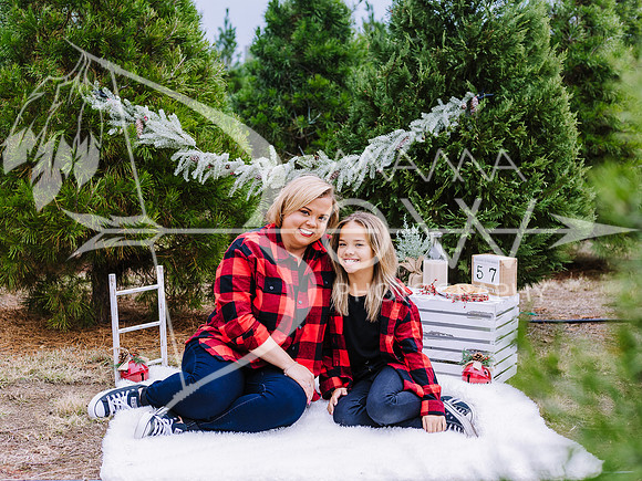 Jill and Chloe christmas ws