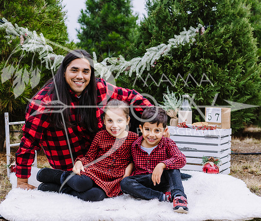 Lane christmas ws