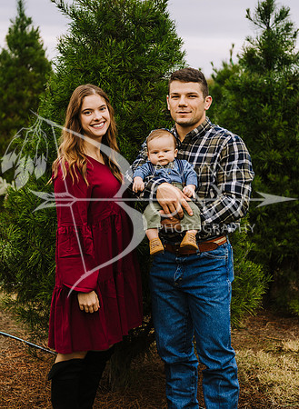 Lavalley christmas ws-18