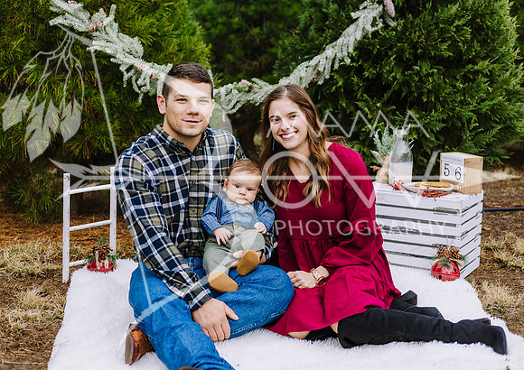 Lavalley christmas ws