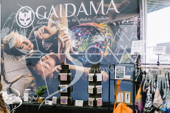Gaidama wm for ws-3