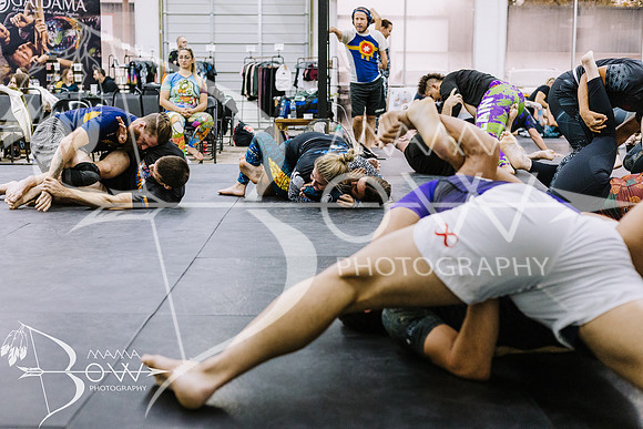 Gaidama wm for ws-42