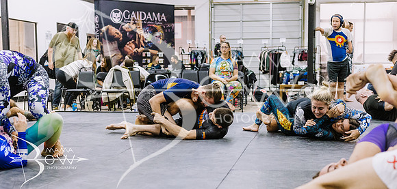 Gaidama wm for ws-43
