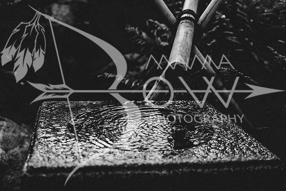 San Deigo CCBW_-45