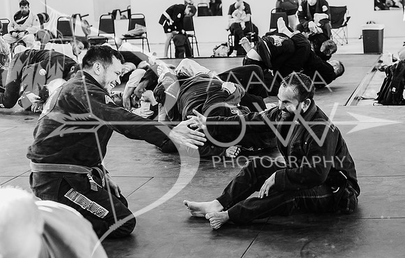 Primate Promotions ccbw ws-75