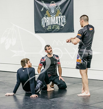 Primate 3-7-23 ws-41