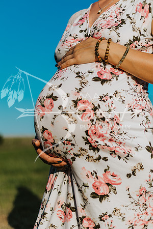 completed ccbw maternity shoot ws-42