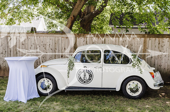 Neville Wedding 6-18-2022 ws-45