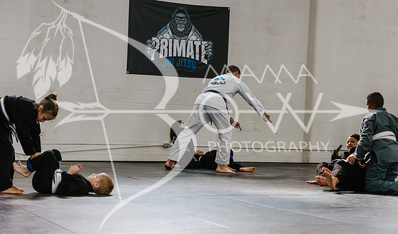 primate coaching Gi_-50