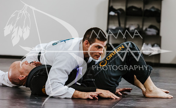 primate coaching Gi_-65