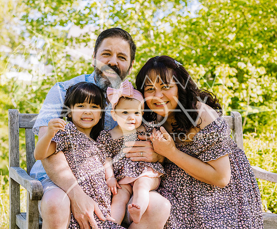 Gibson family 5 extra-5