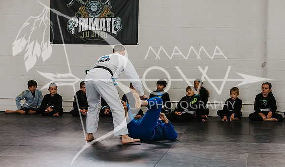 primate coaching Gi_-42