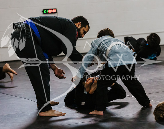 primate coaching Gi_-68
