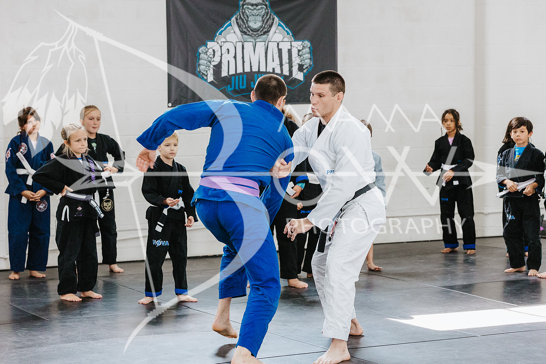 primate coaching Gi_-5