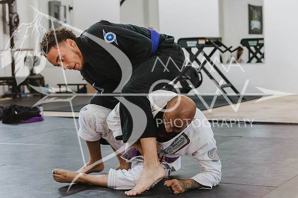 primate coaching Gi_-100