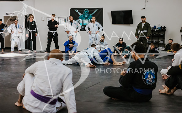 primate coaching Gi_-89