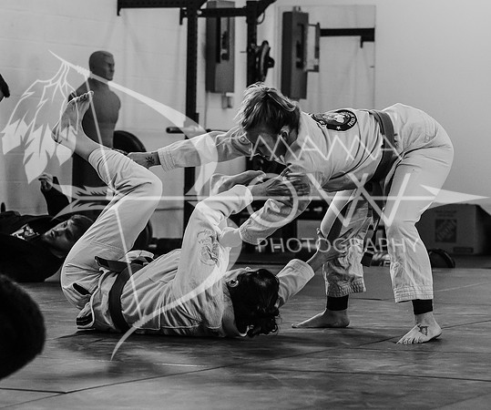 primate coaching Gi_-84