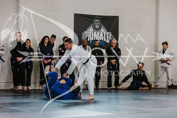 primate coaching Gi_-83