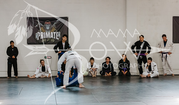 primate coaching Gi_-86