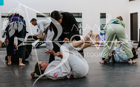 primate coaching Gi_-85