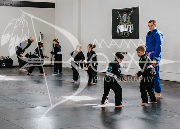 primate coaching Gi_-22