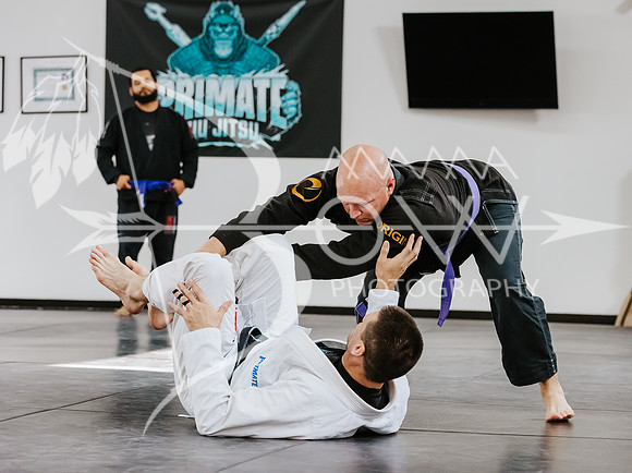 primate coaching Gi_-64