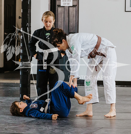 primate coaching Gi_-66