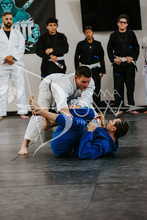 primate coaching Gi_-81