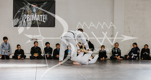 primate coaching Gi_-38