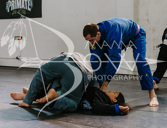 primate coaching Gi_-45