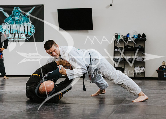 primate coaching Gi_-60