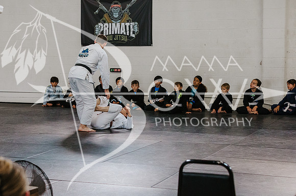 primate coaching Gi_-41