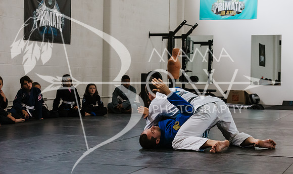 primate coaching Gi_-43