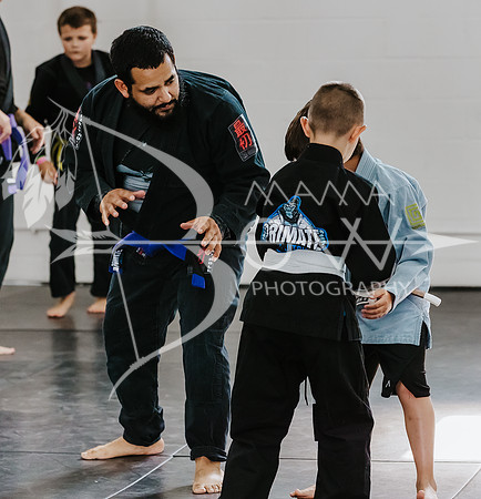 primate coaching Gi_-29