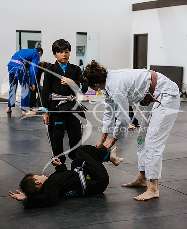 primate coaching Gi_-71