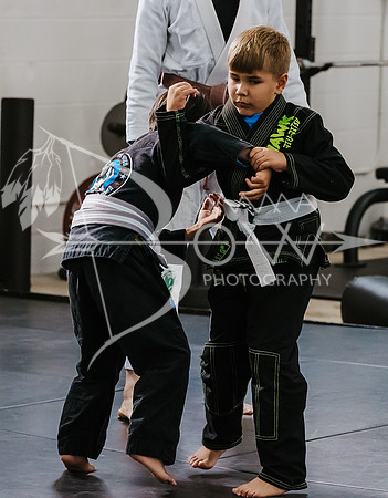 primate coaching Gi_-37
