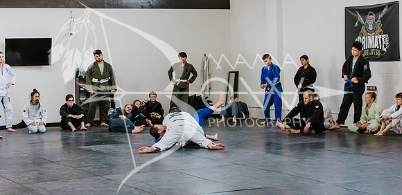 primate coaching Gi_-88