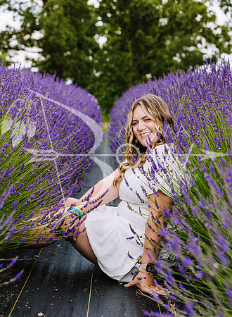 zoie lavendar ws_