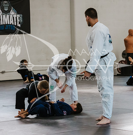 primate coaching Gi_-67